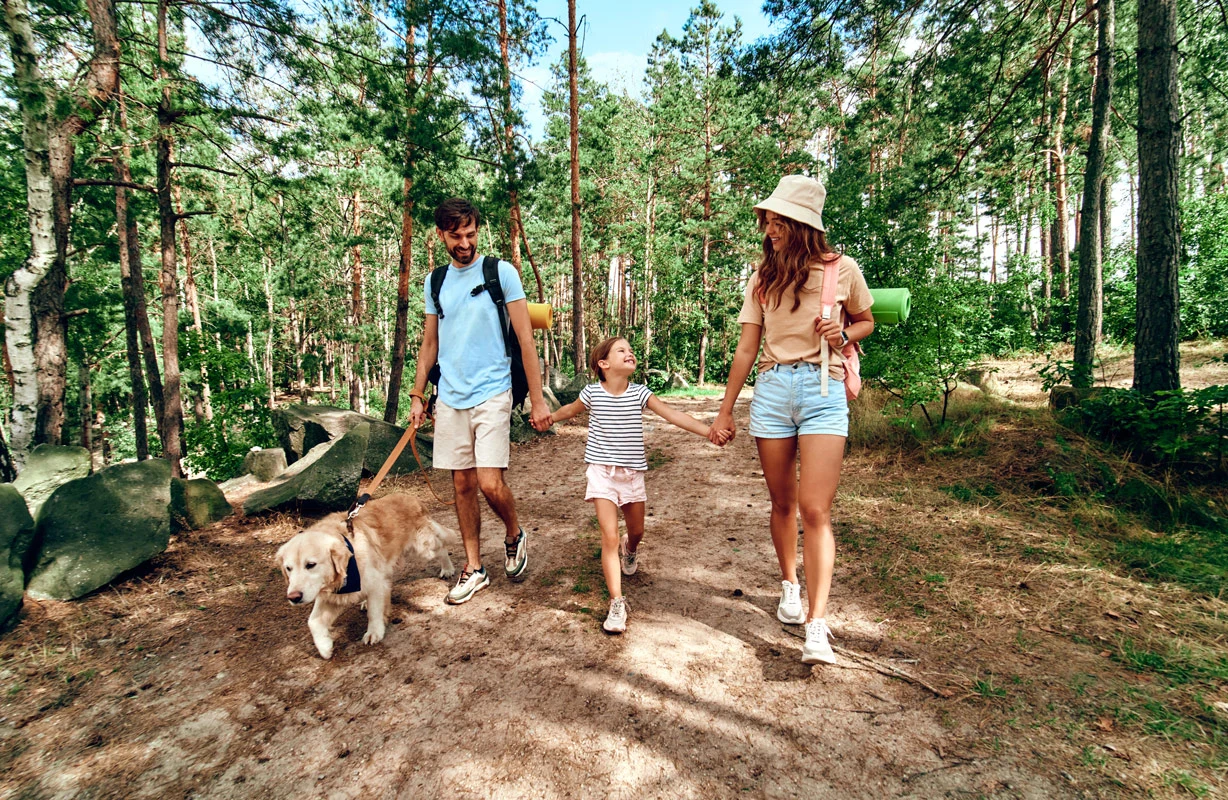 Eine Familie macht an einem sonnigen Tag einen Spaziergang im Wald